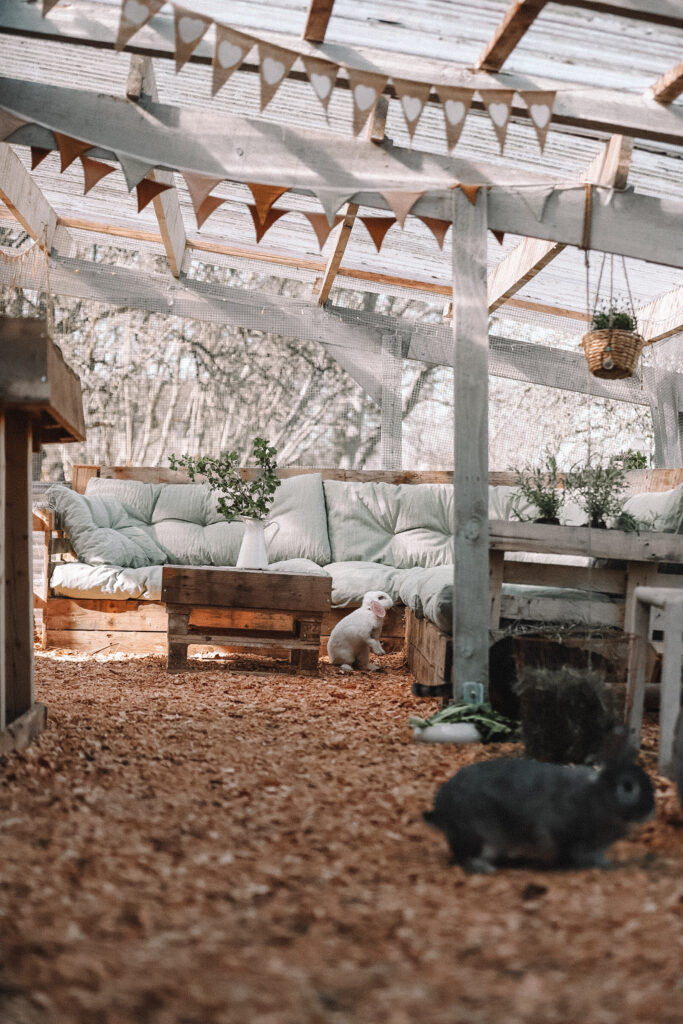 Lebenshof Schleswig-Holstein 60