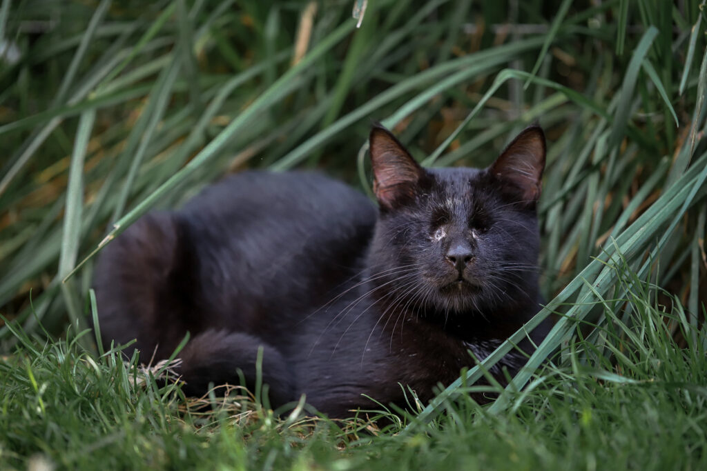 Lebenshof Schleswig-Holstein 14