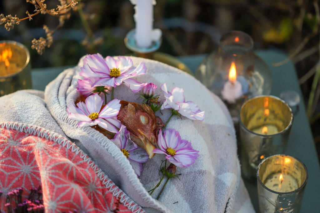 Lebenshof Schleswig-Holstein 156