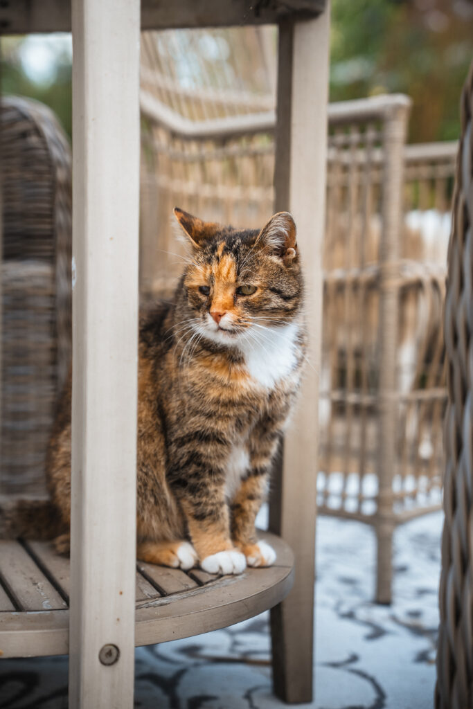 Lebenshof Schleswig-Holstein 6