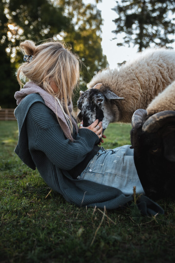 Gnadenhof Schleswig-Holstein 6 Lebenshof Schleswig-Holstein 5