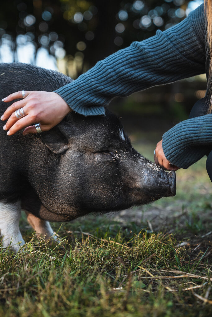Lebenshof Schleswig-Holstein 100