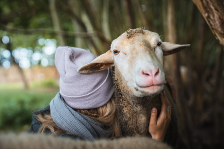 Lebenshof Schleswig-Holstein 11