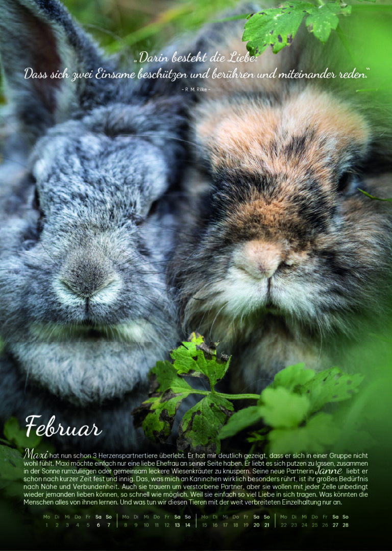 Lebenshof Schleswig-Holstein 5